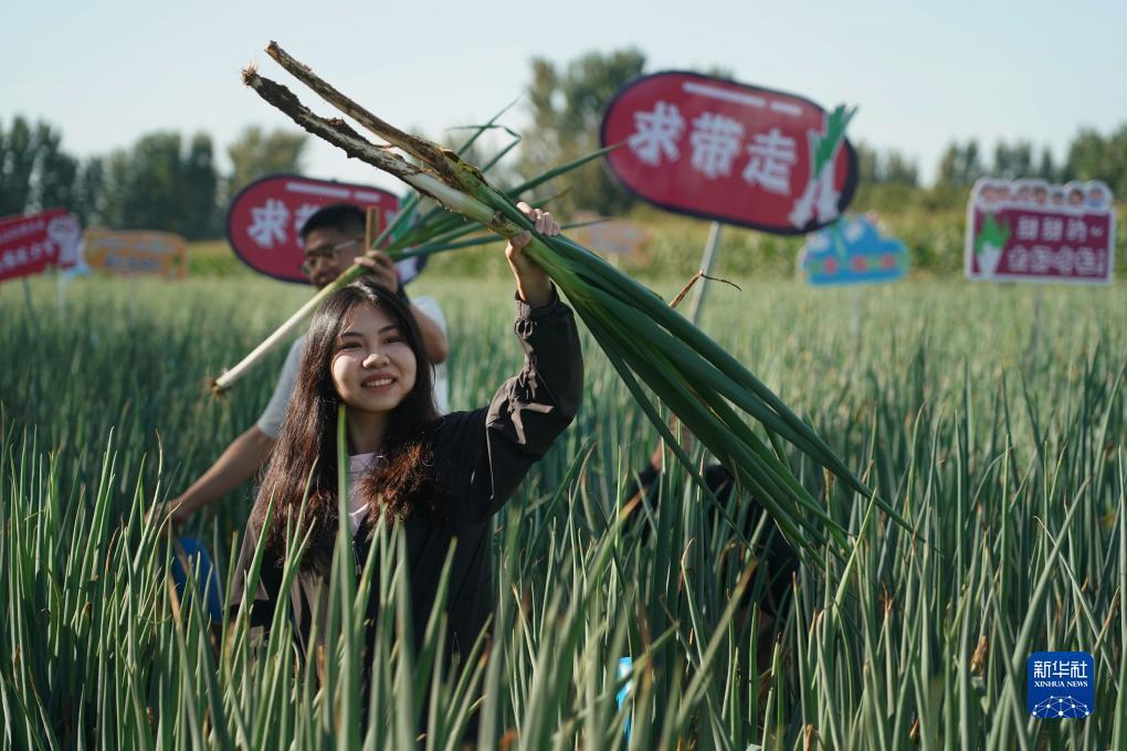 银钻娱乐上分